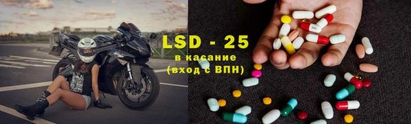 винт Ельня