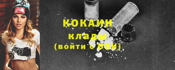 винт Ельня