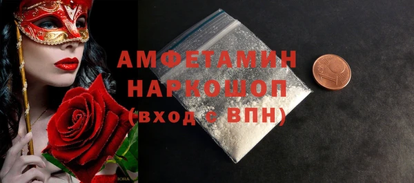 винт Ельня