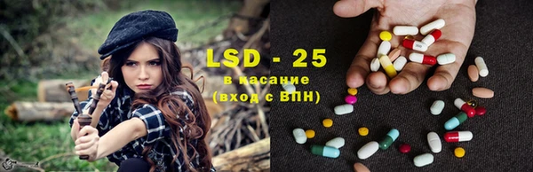 винт Ельня
