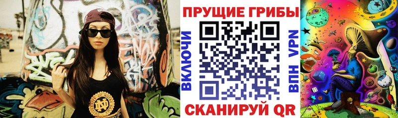 Купить закладки  Камышин  Галлюциногенные грибы Psilocybine cubensis 